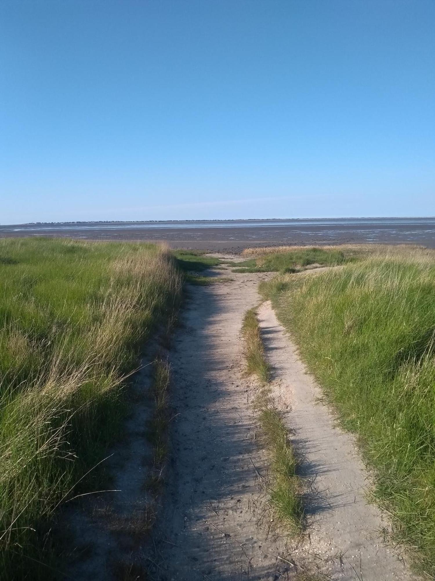 Drei-Insel-Blick Neßmersiel Exterior foto