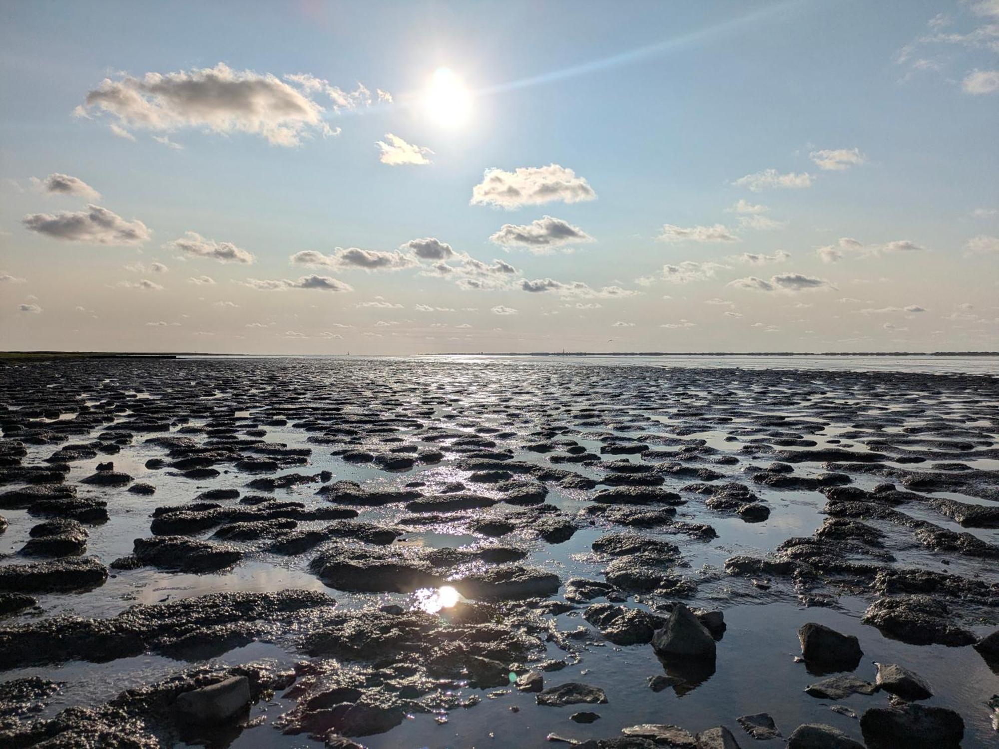 Drei-Insel-Blick Neßmersiel Exterior foto